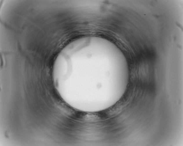 X0000096400270200801241010