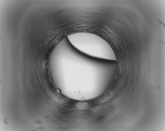 X0000096400271200801241010