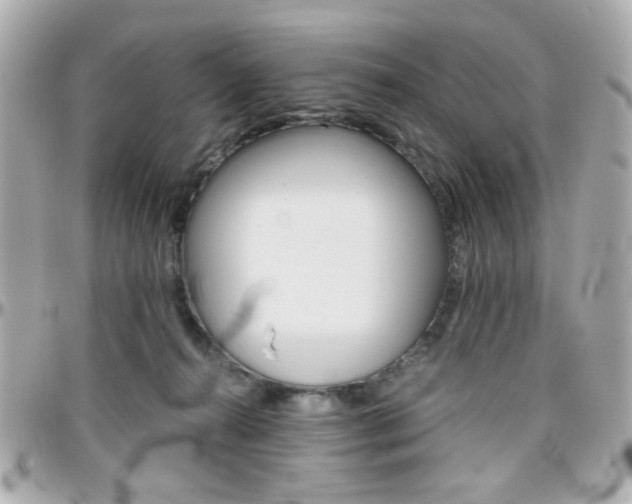 X0000096400272200801241010