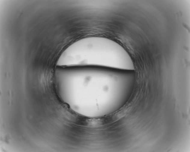 X0000096400273200801241010