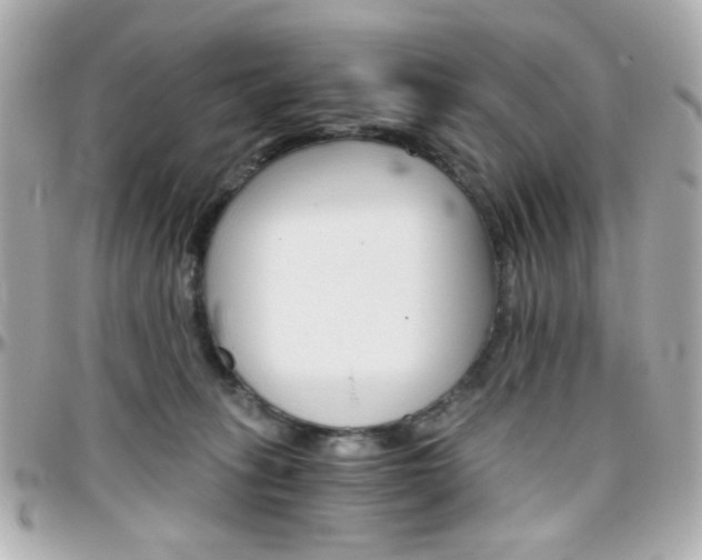 X0000096400275200801241010