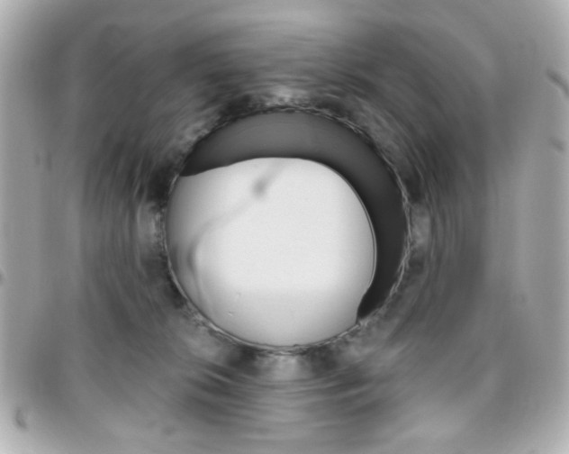 X0000096400276200801241010