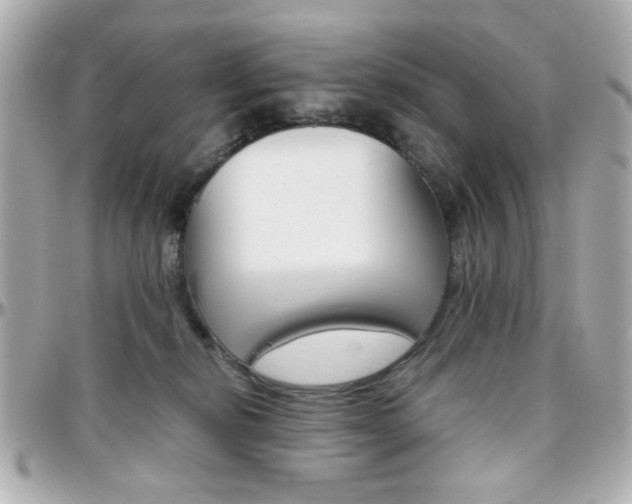 X0000096400278200801241010