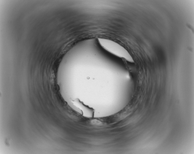 X0000096400279200801241010