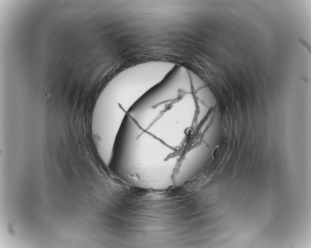 X0000096400280200801241010