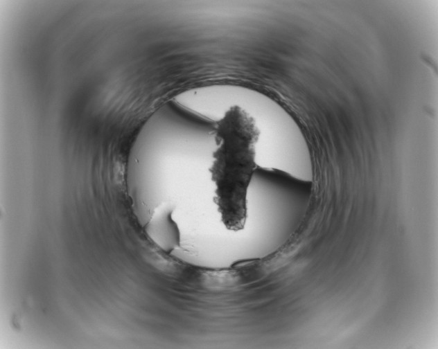 X0000096400281200801241010