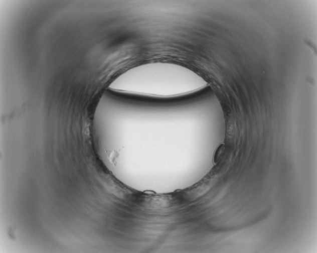 X0000096400282200801241010