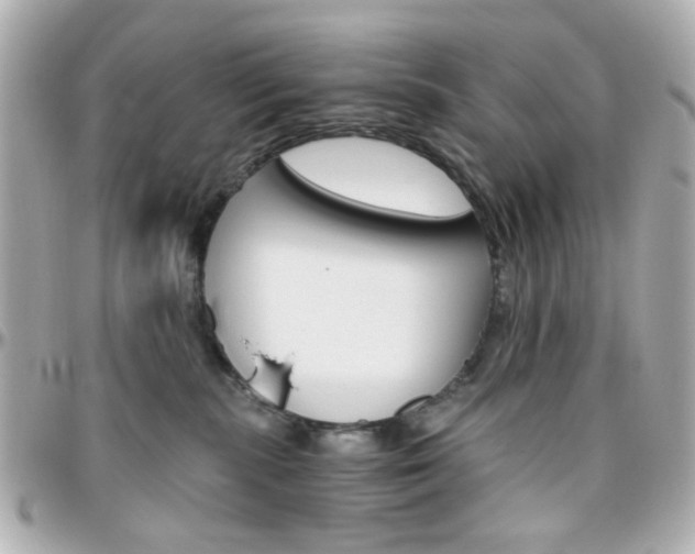 X0000096400283200801241010