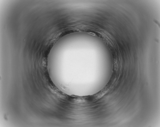 X0000096400284200801241010