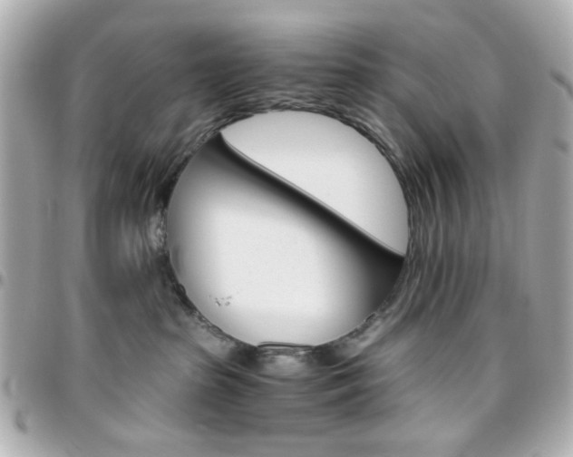 X0000096400285200801241010