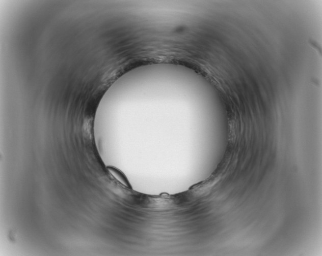 X0000096400286200801241010