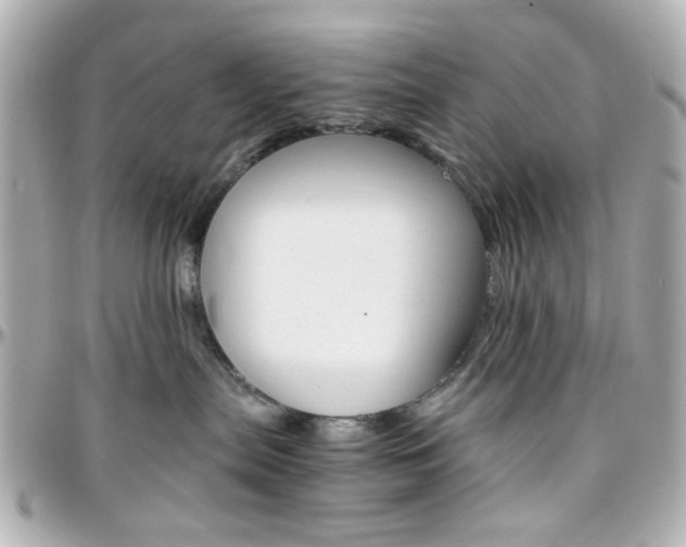 X0000096400287200801241010