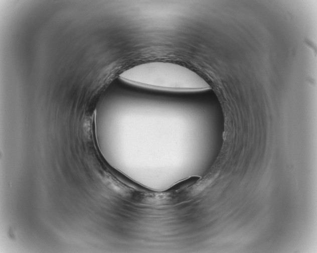 X0000096400288200801241010