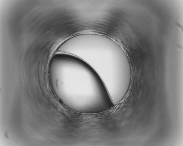 X0000096400289200801241010