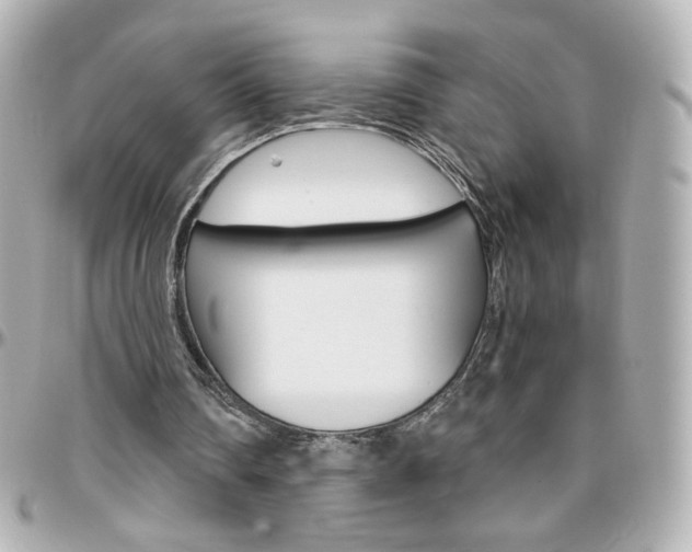 X0000096400290200801241010