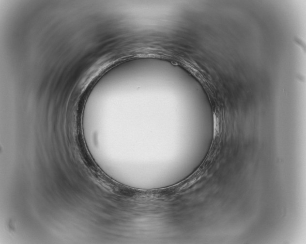 X0000096400291200801241010