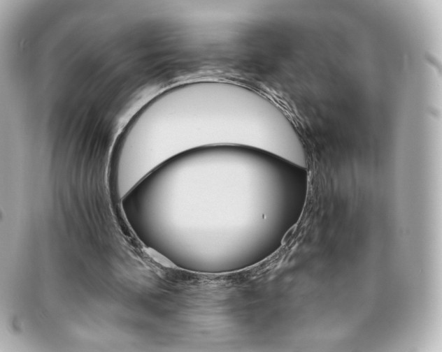 X0000096400292200801241010