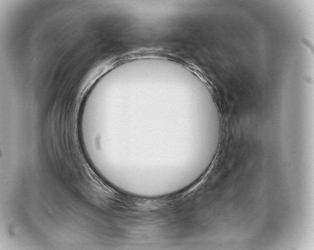 X0000096400293200801241010