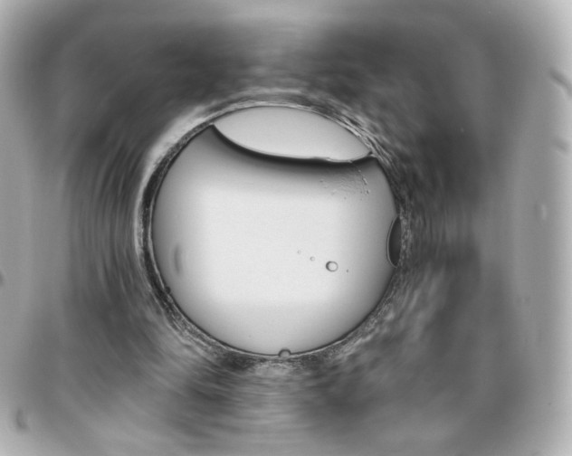 X0000096400294200801241010