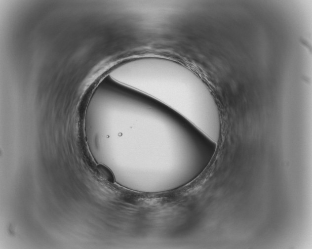 X0000096400295200801241010