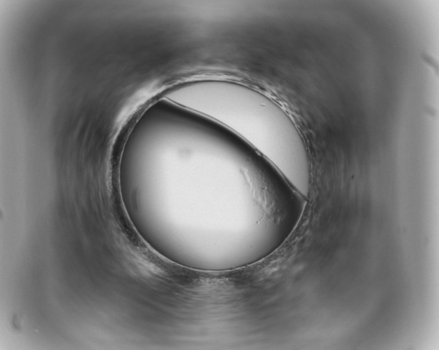 X0000096400296200801241010