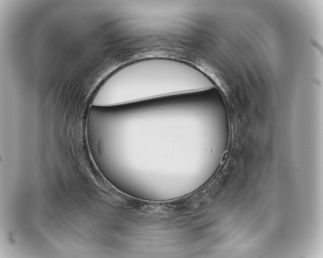 X0000096400297200801241010