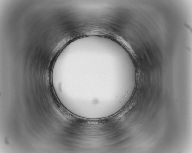 X0000096400298200801241010