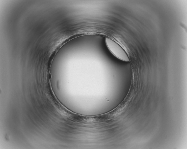 X0000096400301200801241009