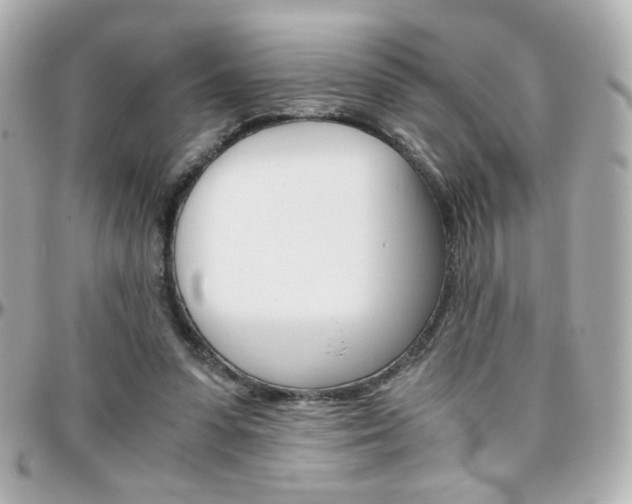 X0000096400303200801241009