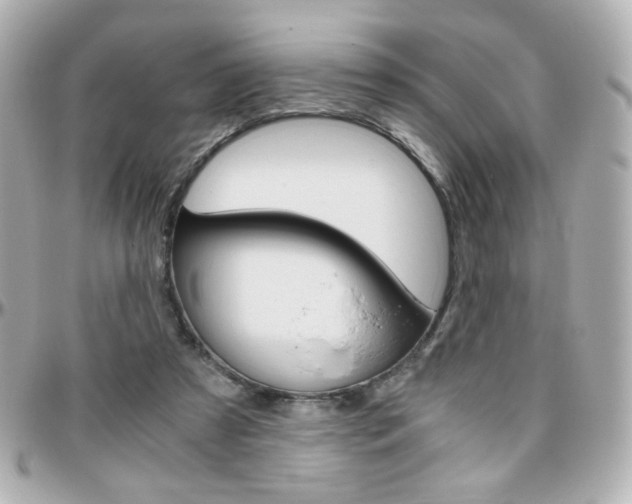 X0000096400305200801241009