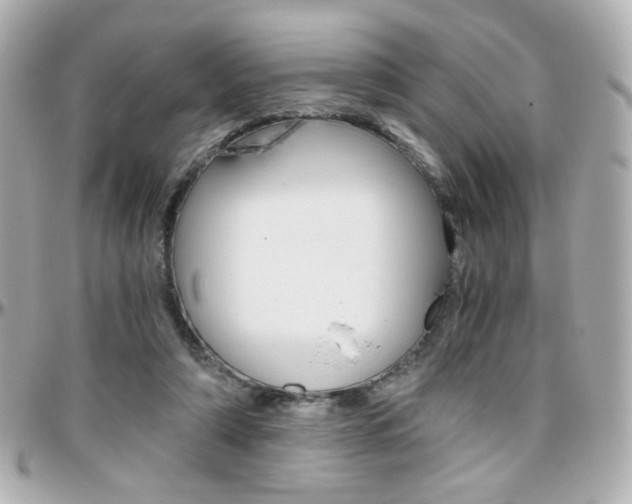 X0000096400306200801241009