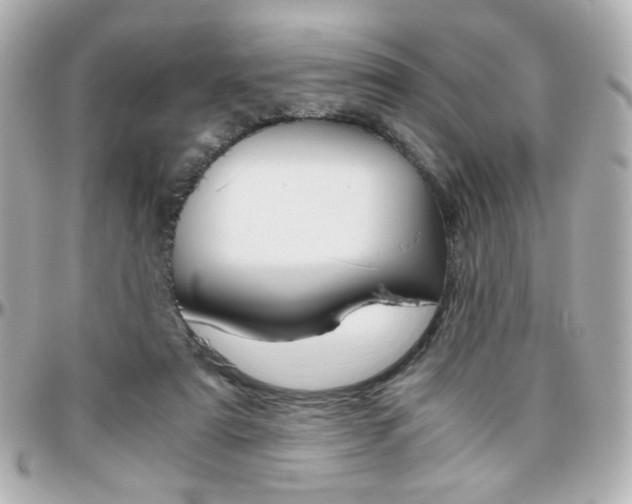 X0000096400307200801241009