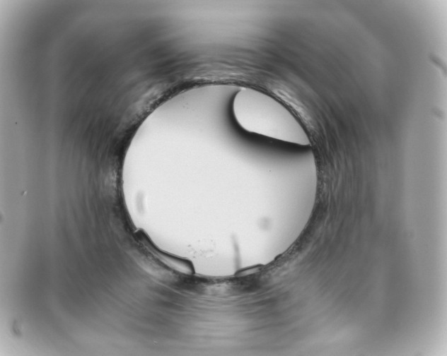 X0000096400309200801241009