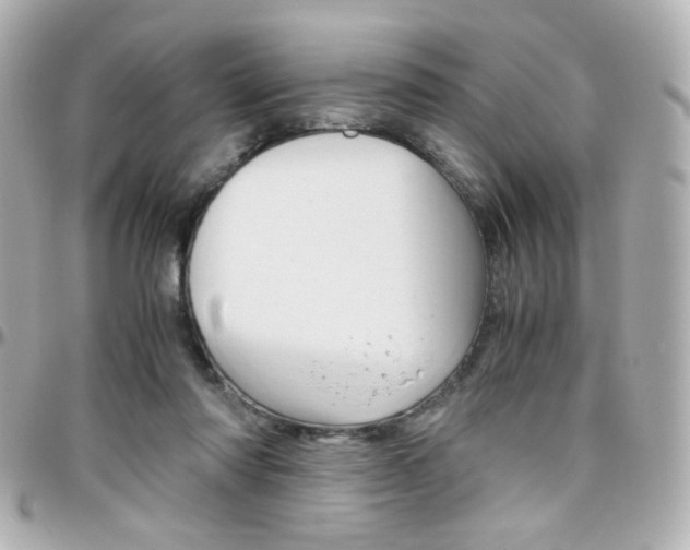 X0000096400310200801241009
