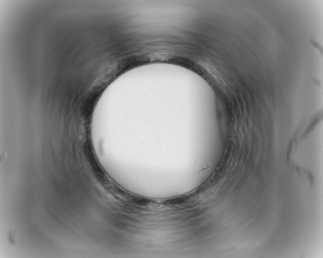 X0000096400311200801241009