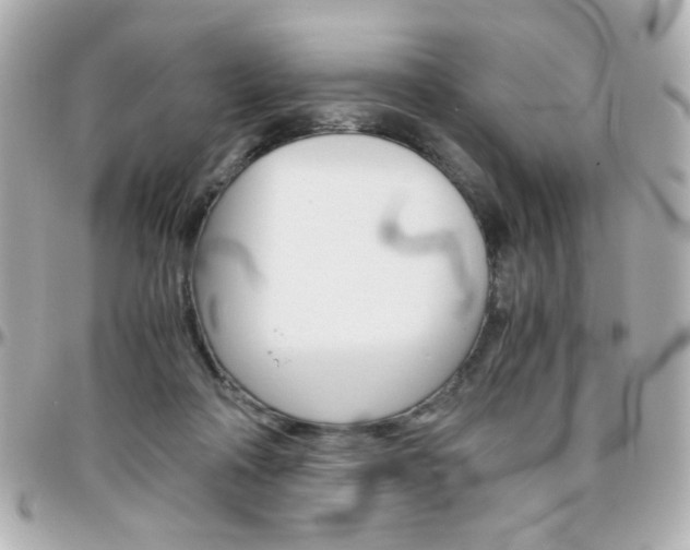X0000096400314200801241009