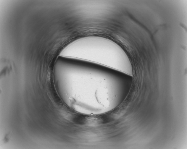 X0000096400315200801241009