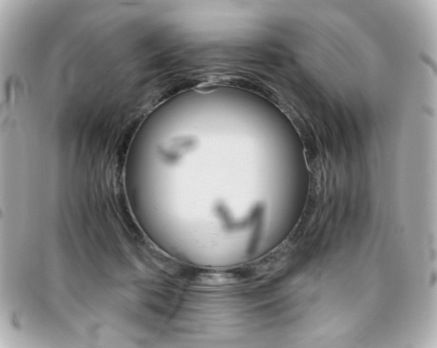 X0000096400316200801241009