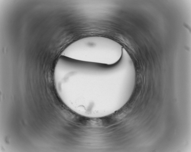 X0000096400317200801241009