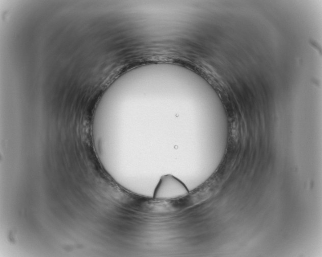 X0000096400322200801241009