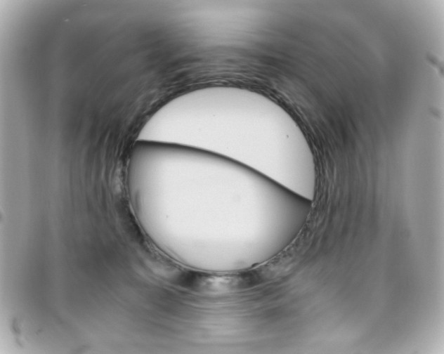 X0000096400323200801241009