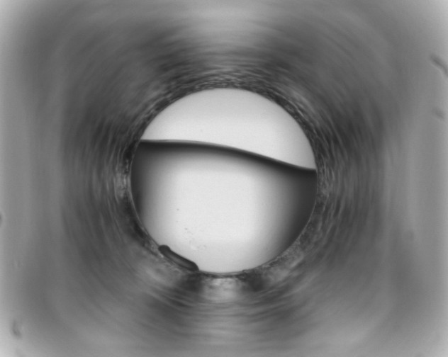 X0000096400324200801241009