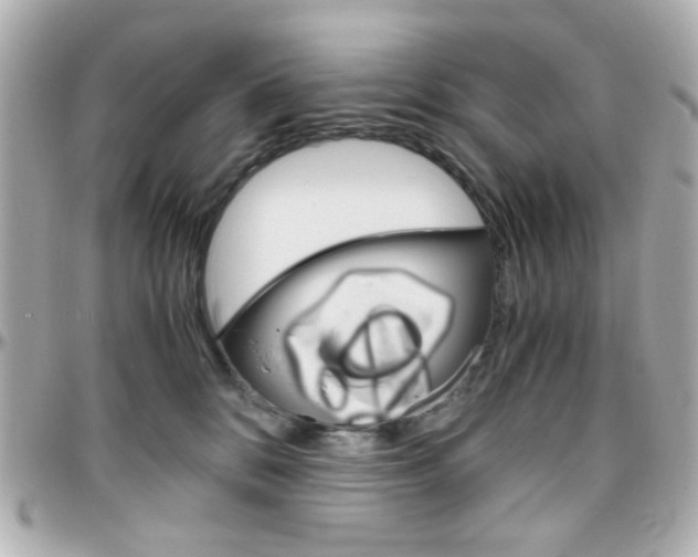 X0000096400328200801241009