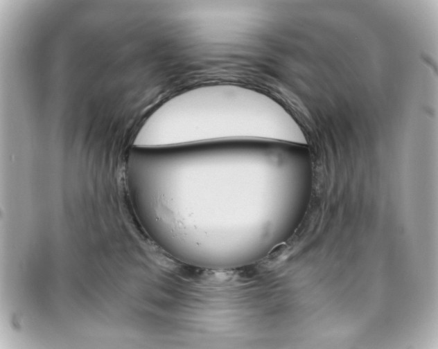 X0000096400329200801241009