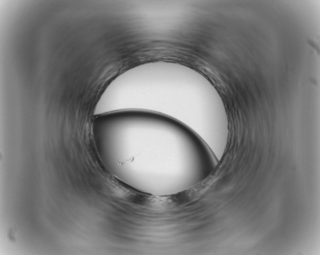 X0000096400333200801241009