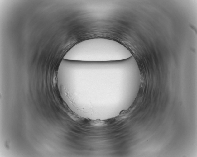 X0000096400334200801241009