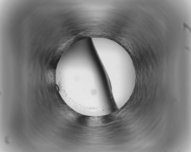 X0000096400335200801241009