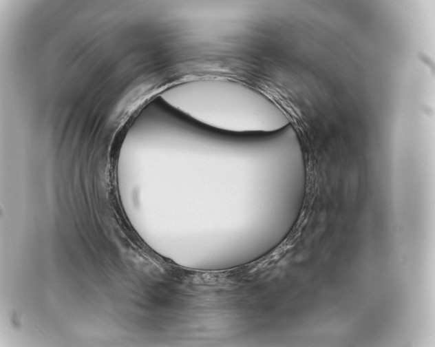 X0000096400338200801241008