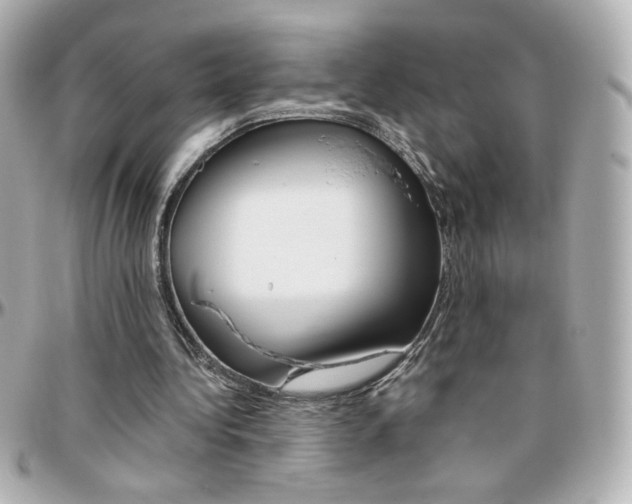 X0000096400340200801241008