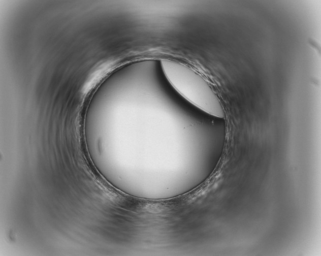 X0000096400341200801241008